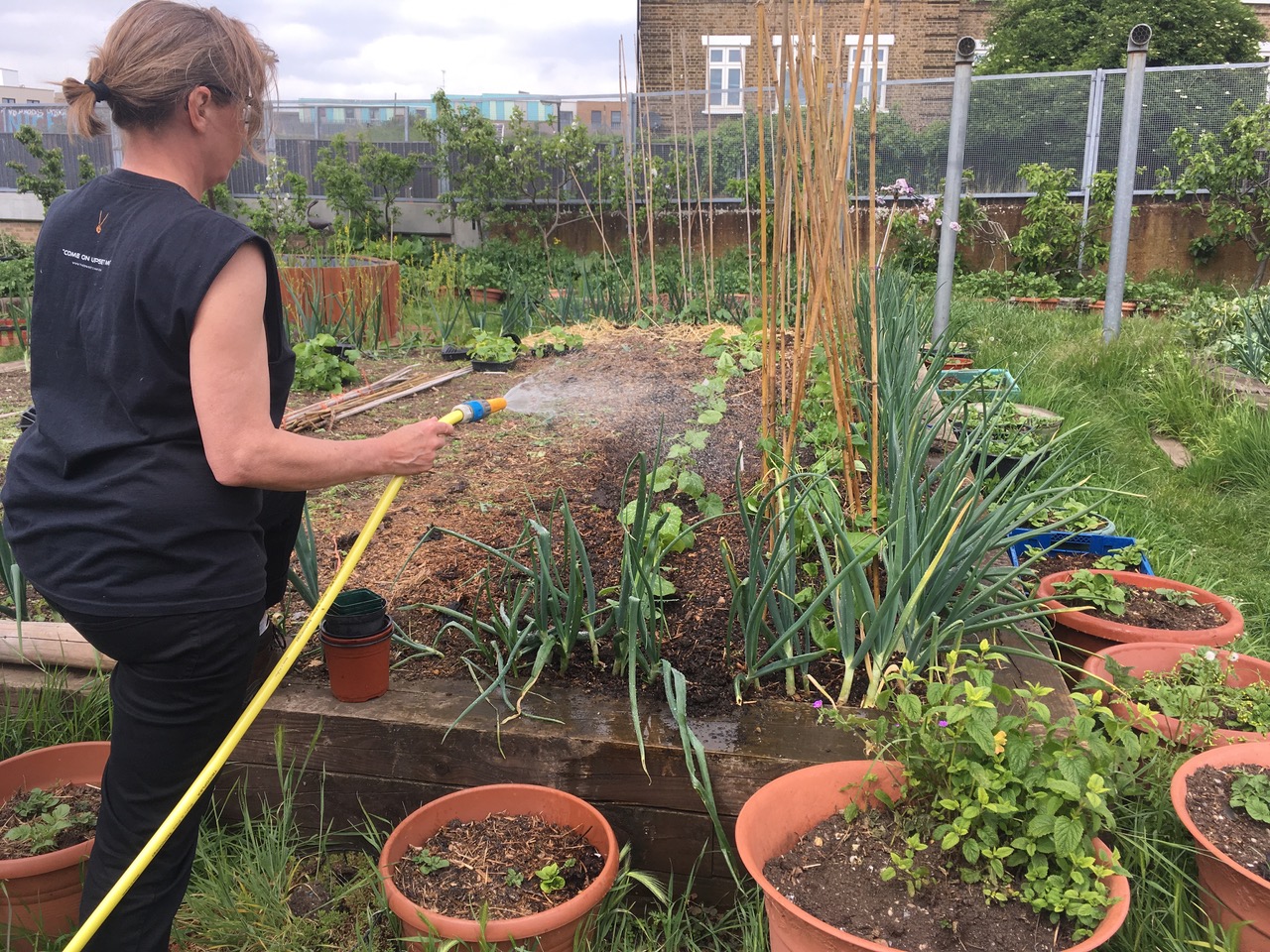 The Simmering Debate: Authenticity vs. Algorithmic Performance